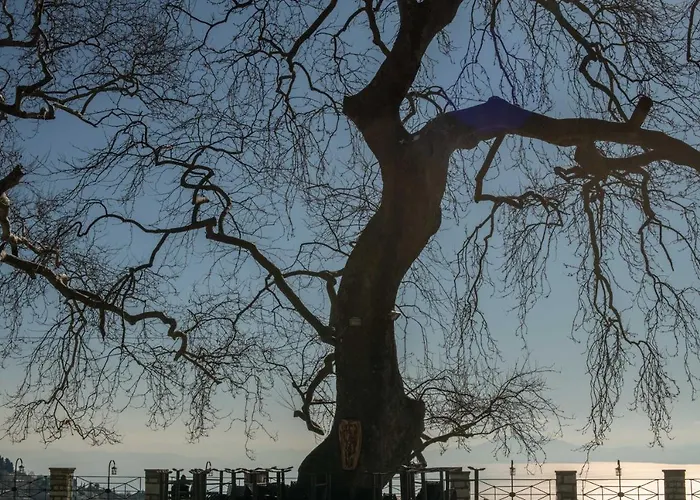 Philos Guest house Makrinitsa